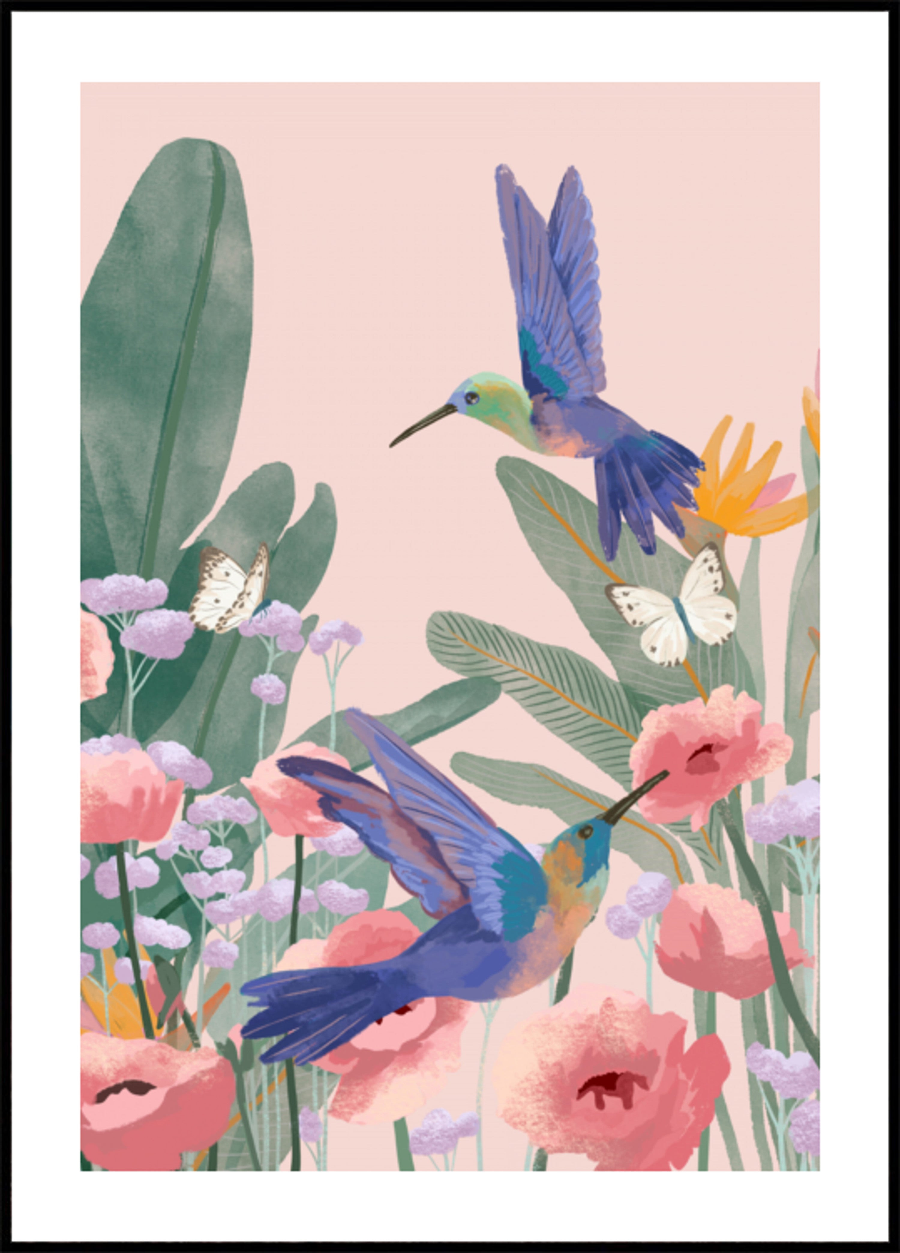 Kolibry