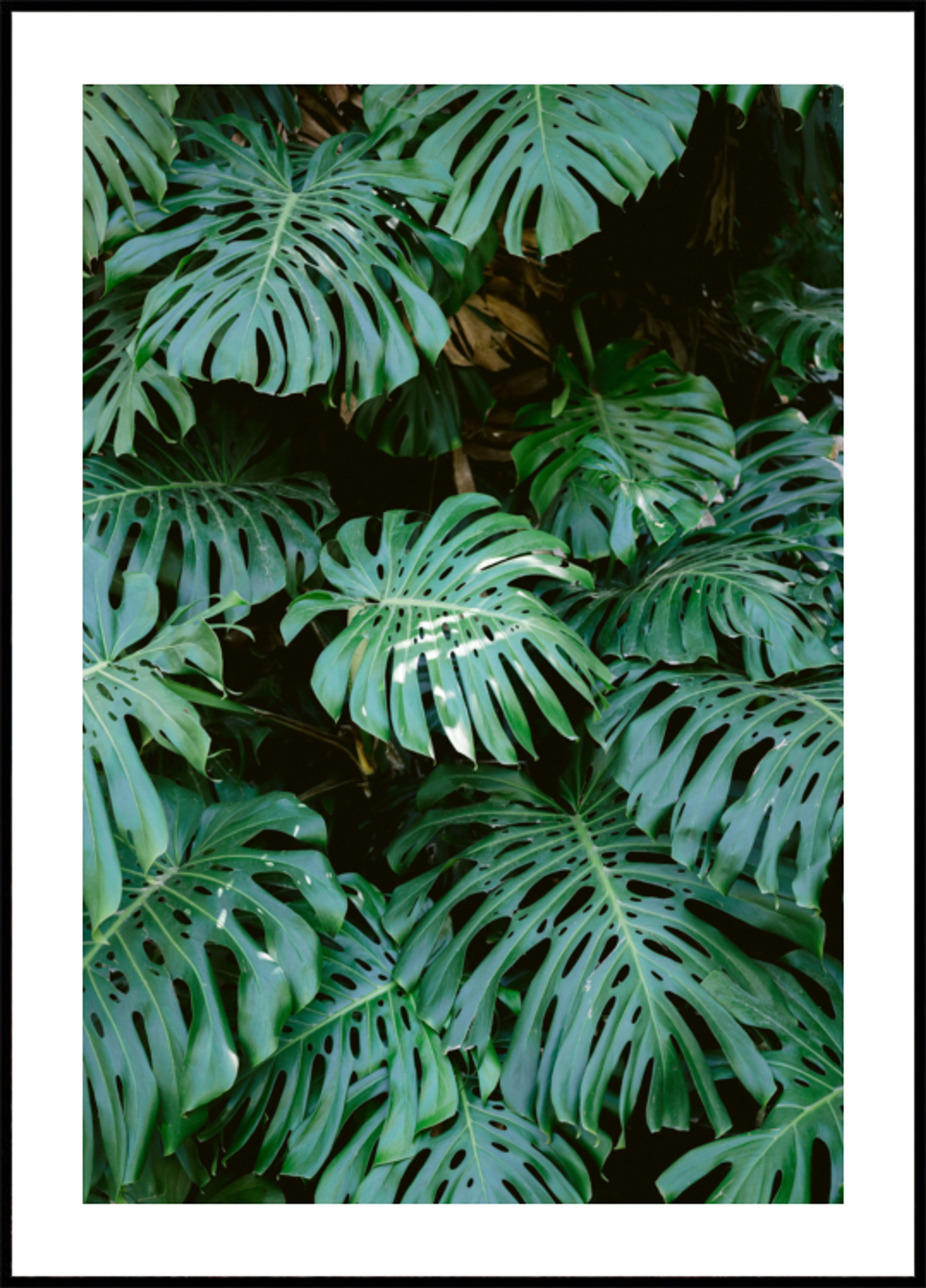 Ściana Monstera w Lizbonie