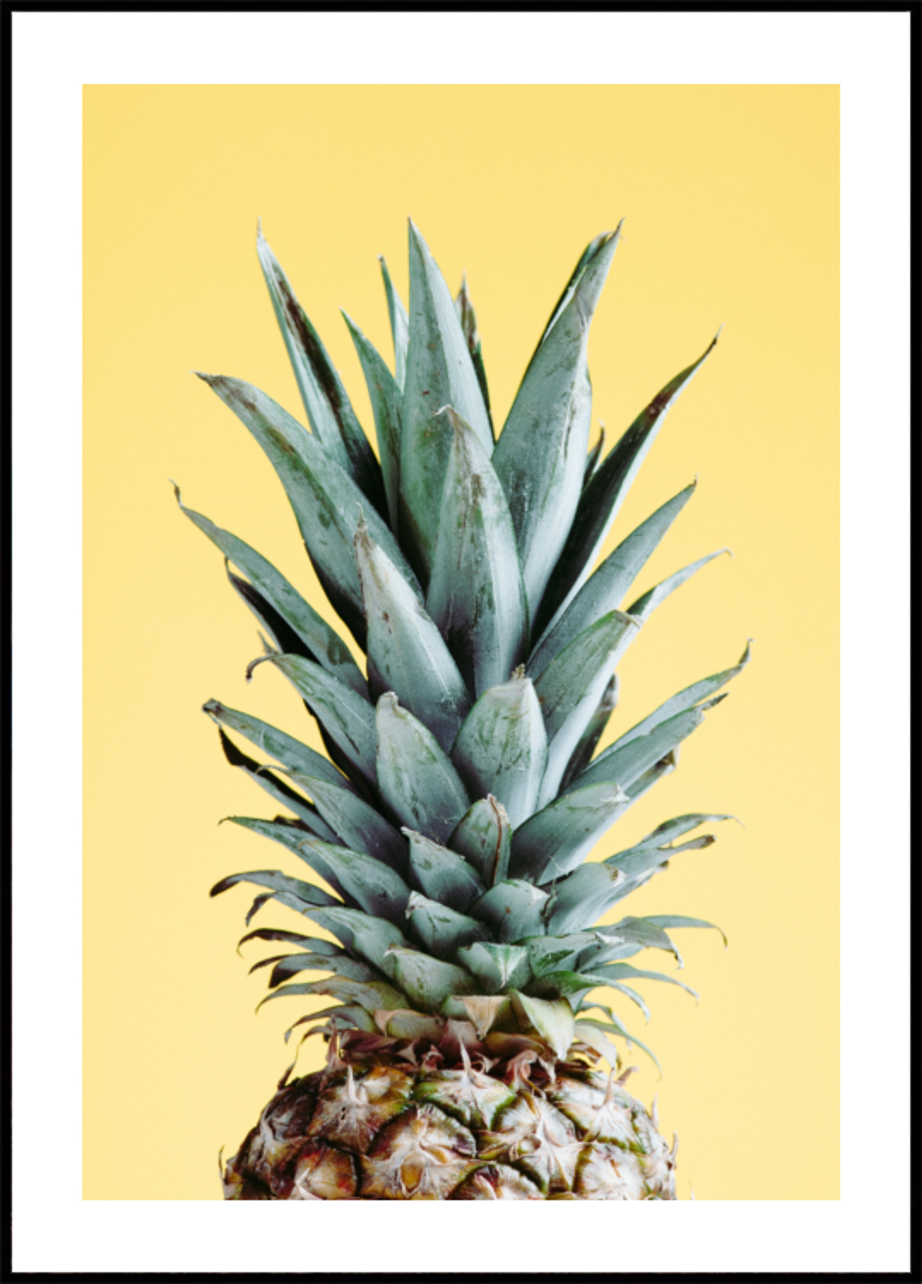 Tropikalny ananas żółty