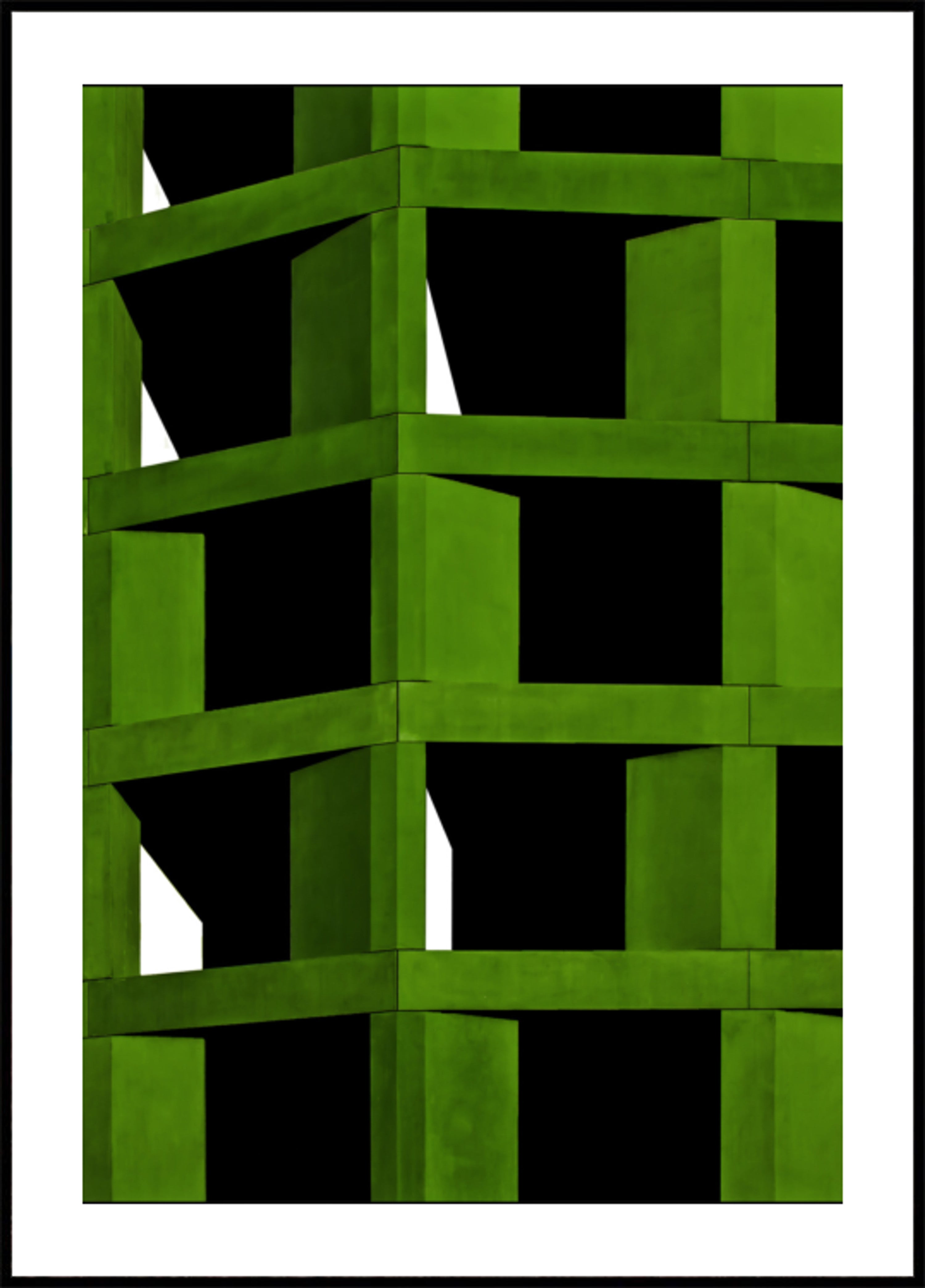 Żywa zielona geometria