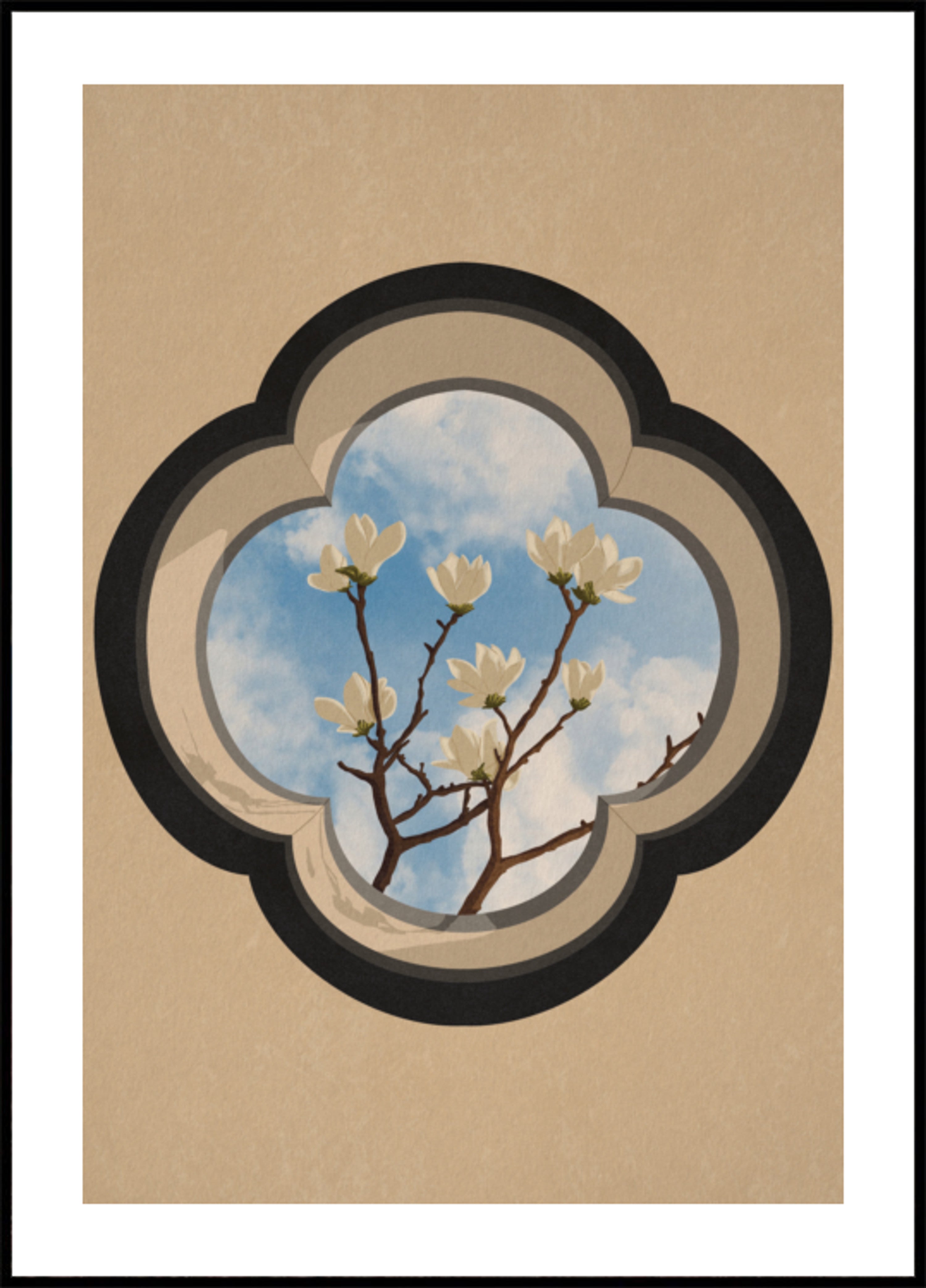 Okno Magnolii