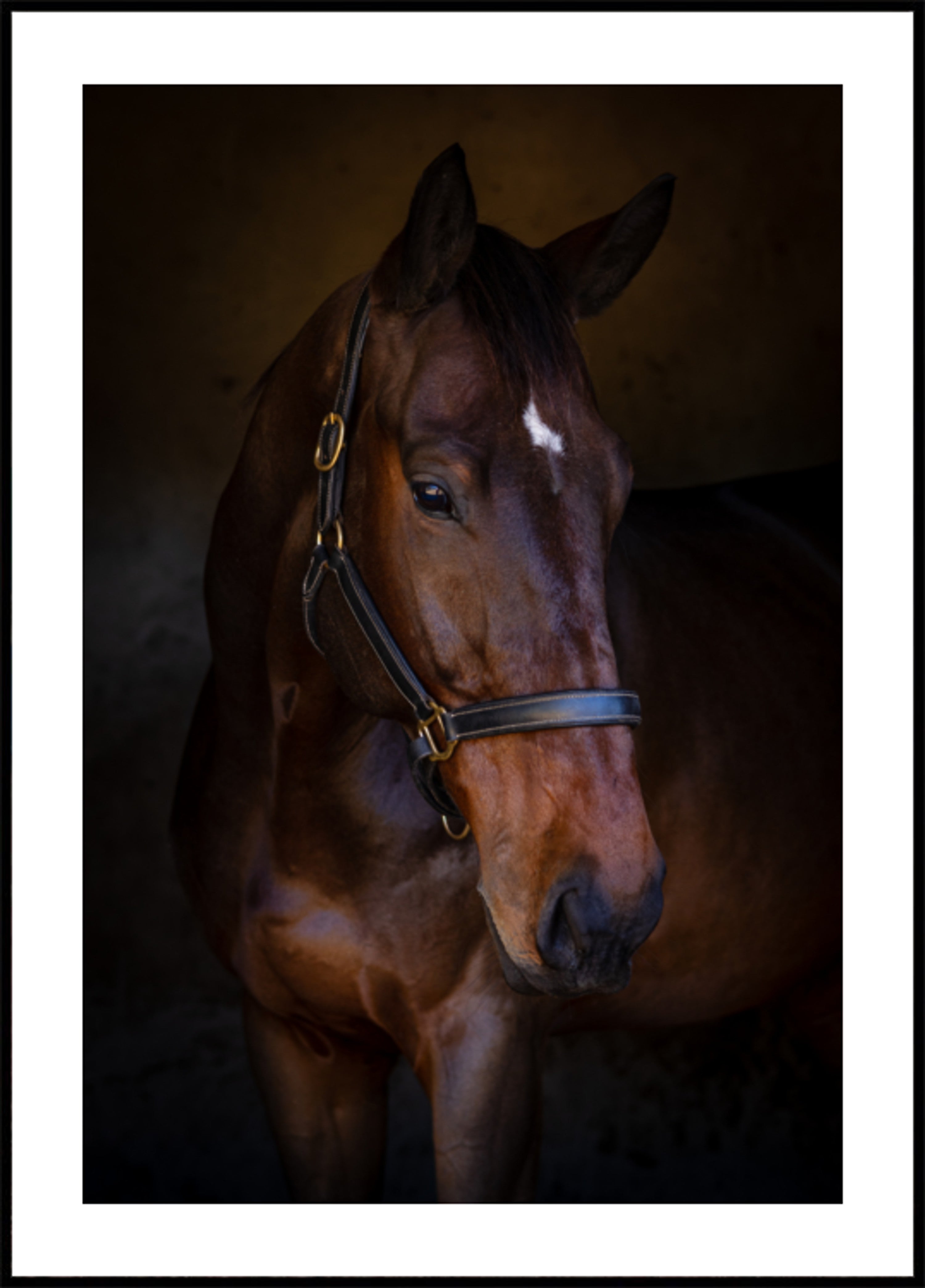 Majestatyczny portret konia