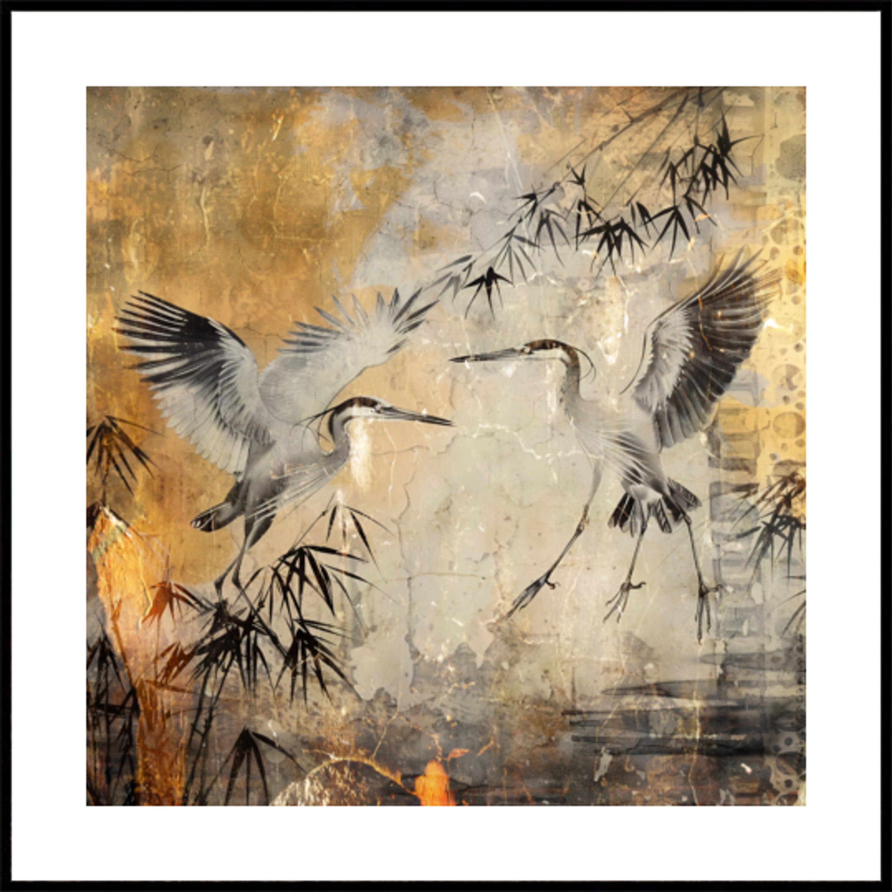 Ptak Ptaki Zwierzęta Vintage Art Ilustracja Wallart 25