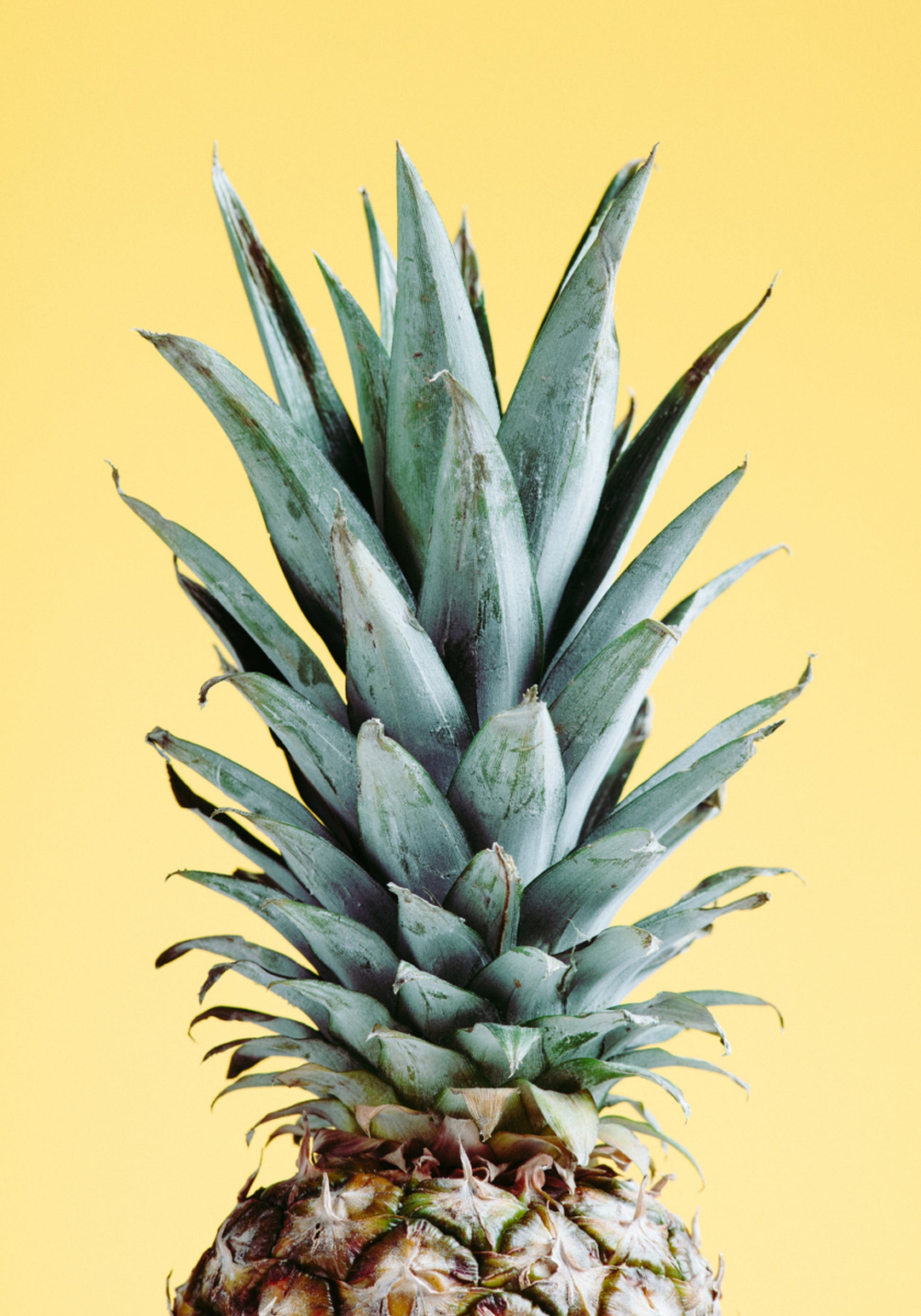 Tropikalny ananas żółty
