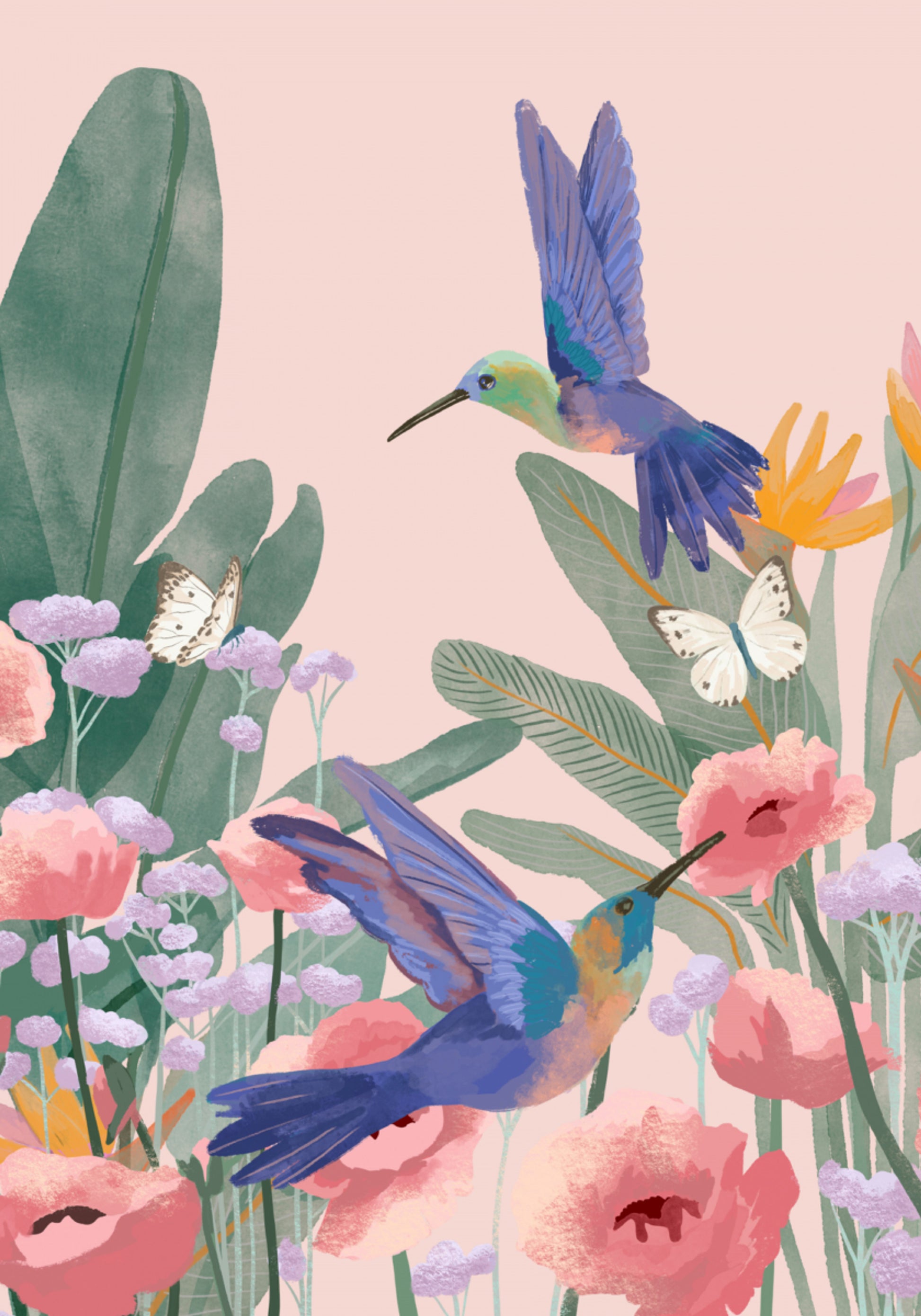 Kolibry