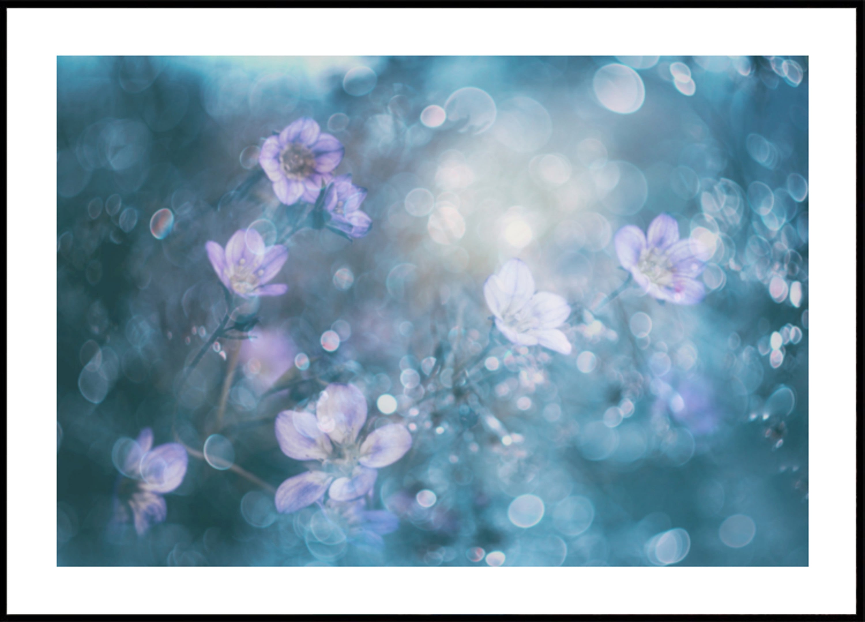 Marzycielskie kwiaty Bokeh