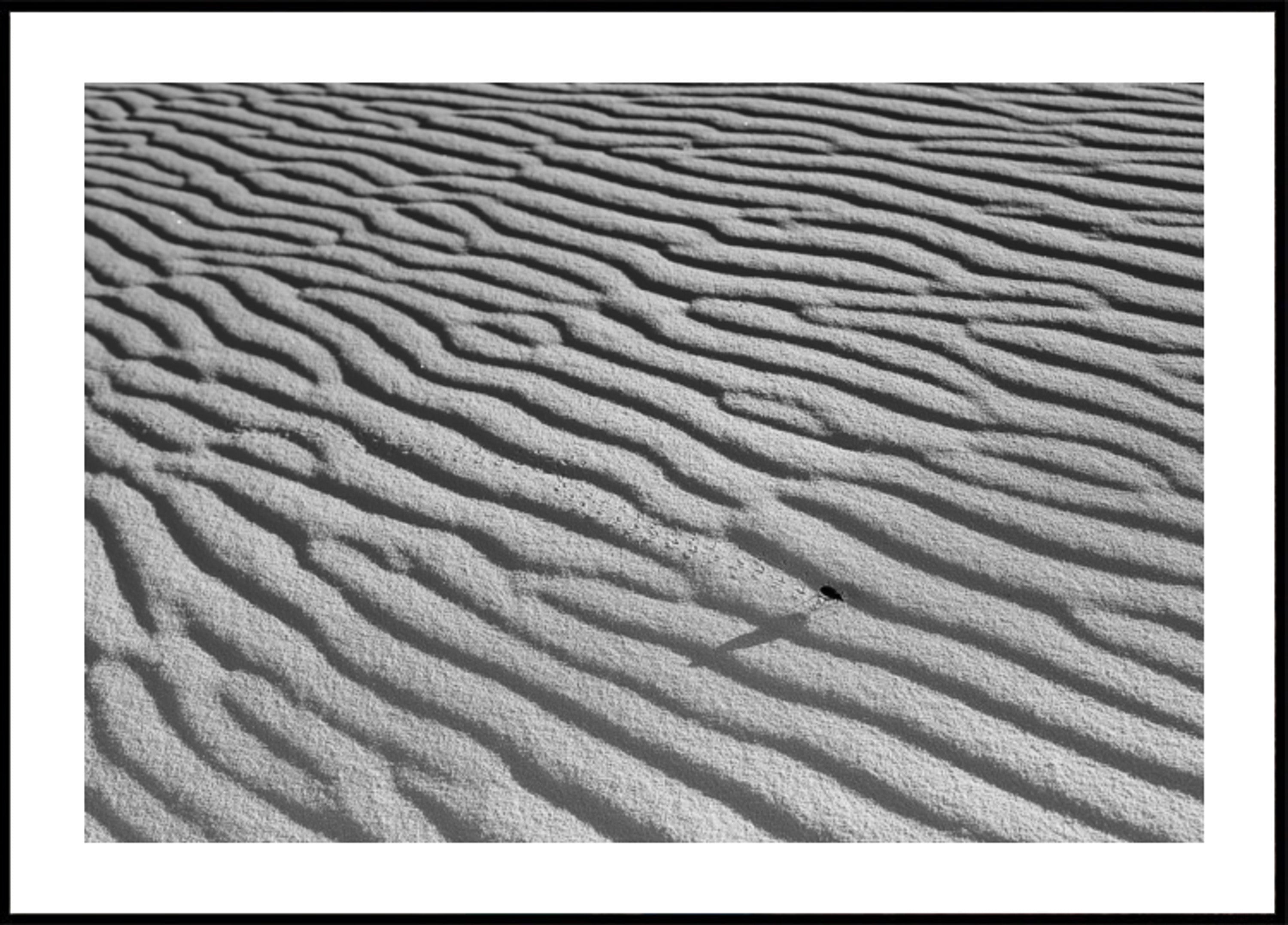 Rippled Piasek I Owad
